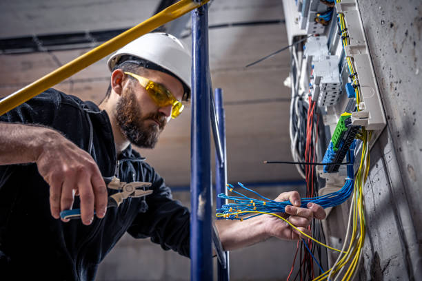 Best Home Electrical Repair  in Le Roy, IL