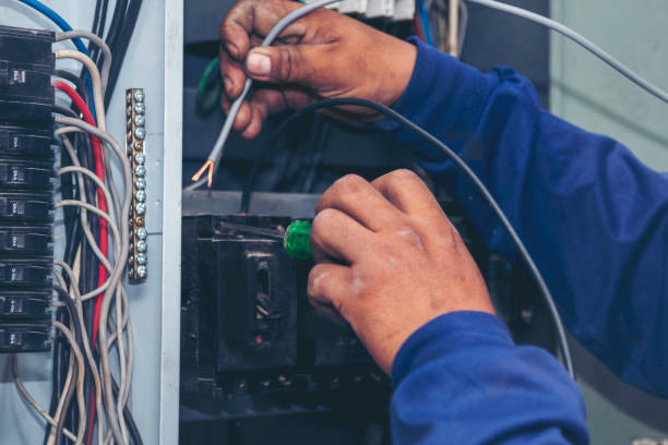 Best Electrician for Home Renovation  in Le Roy, IL