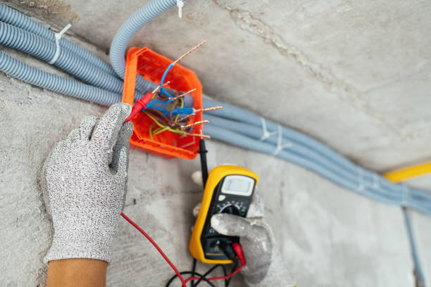 Best Electrical System Inspection  in Le Roy, IL