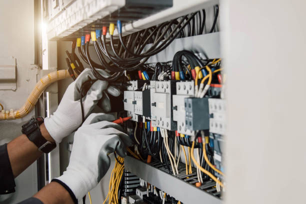 Best Generator Installation Services  in Le Roy, IL